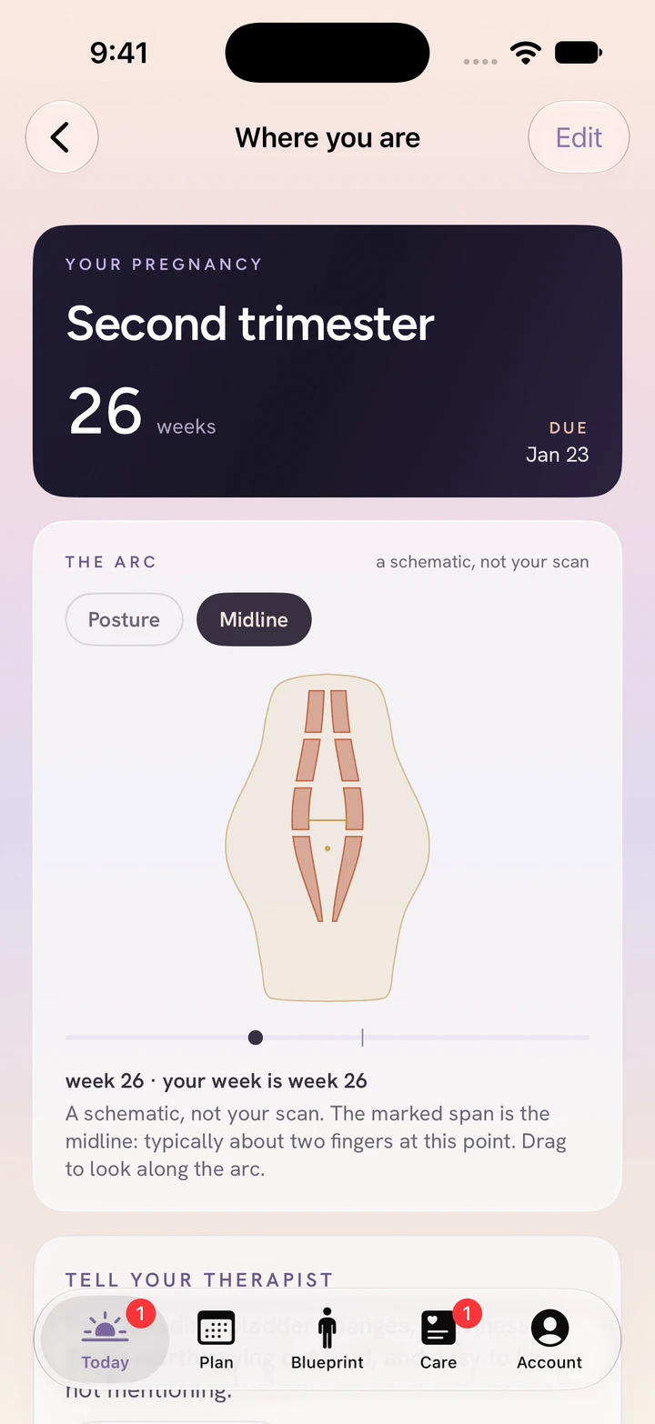 Pregnancy app showing week 26, an interactive midline anatomy view, and a way to contact a therapist.